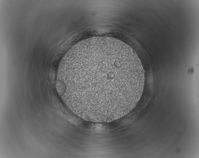 X0000112060565200909151028
