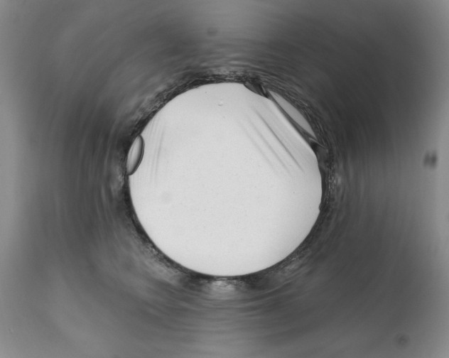 X0000112060566200909151028