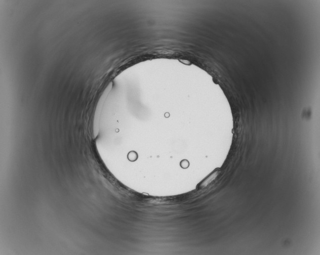 X0000112060568200909151028