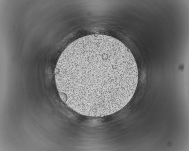 X0000112060569200909151028