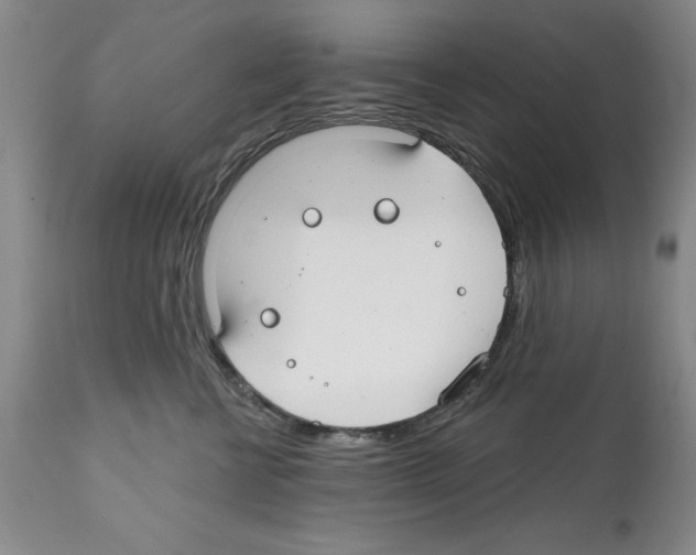 X0000112060570200909151028
