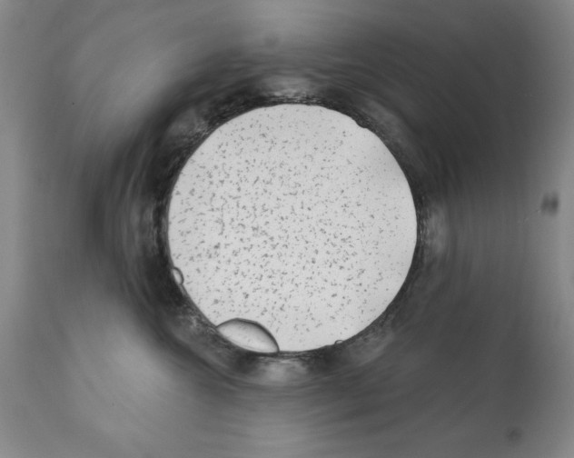 X0000112060572200909151028