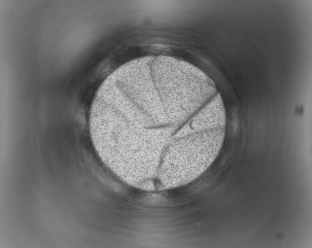 X0000112060573200909151028