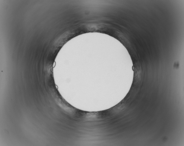X0000112060574200909151028