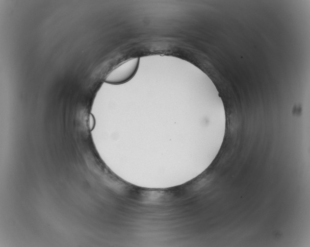 X0000112060575200909151028