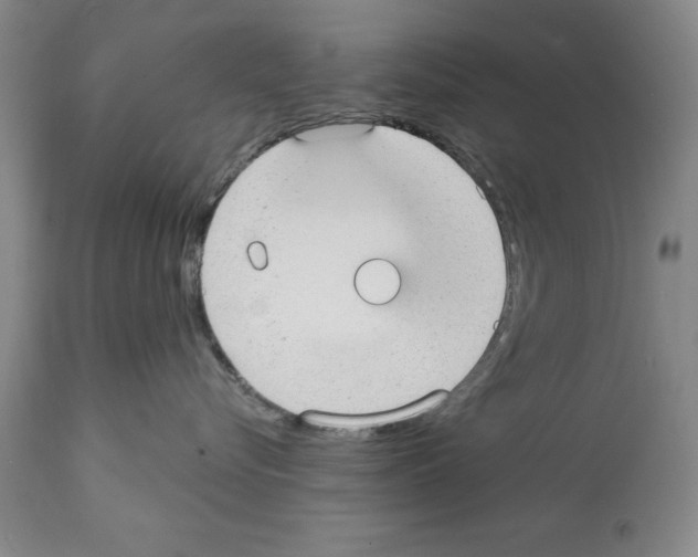X0000112060576200909151028