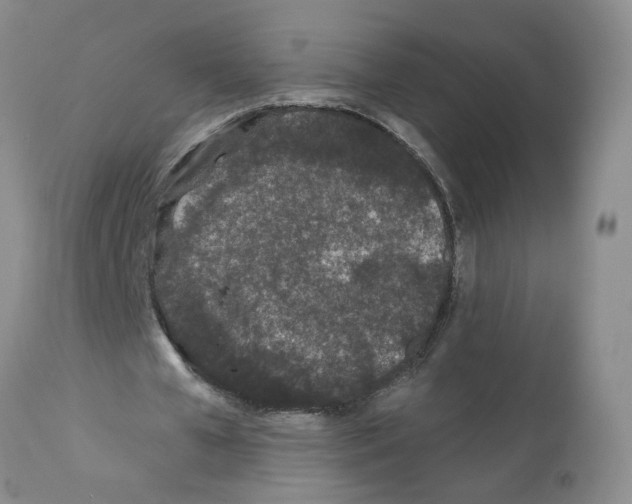 X0000112060577200909151027