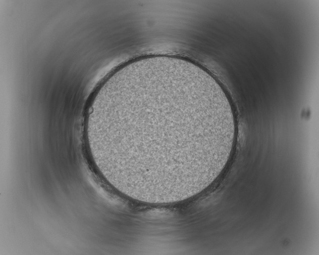 X0000112060578200909151027