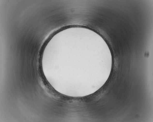X0000112060580200909151027