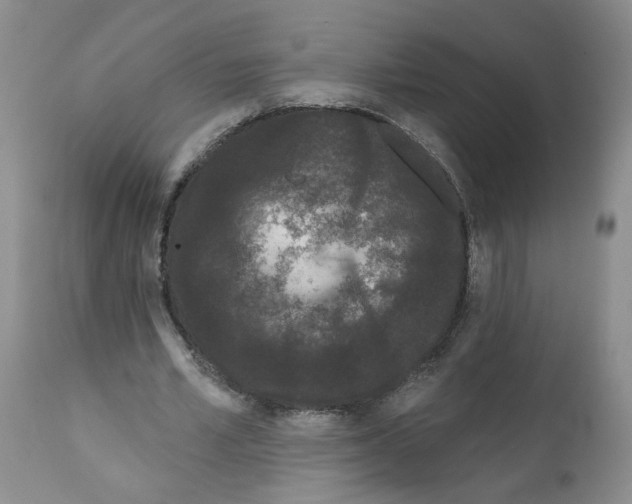 X0000112060581200909151027