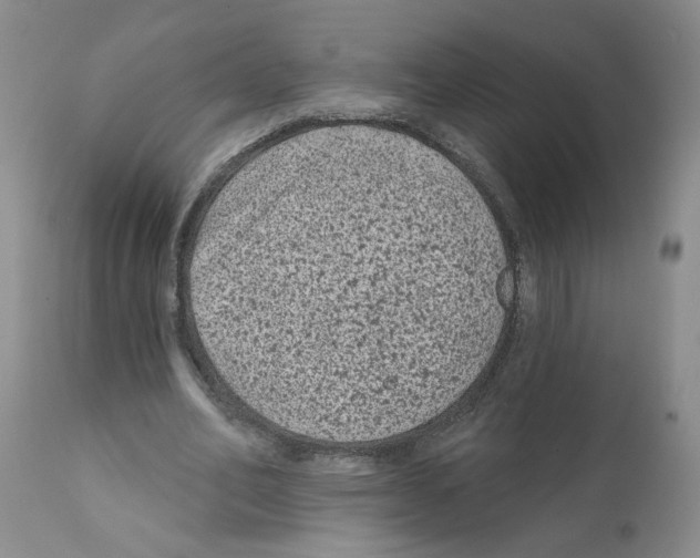 X0000112060582200909151027