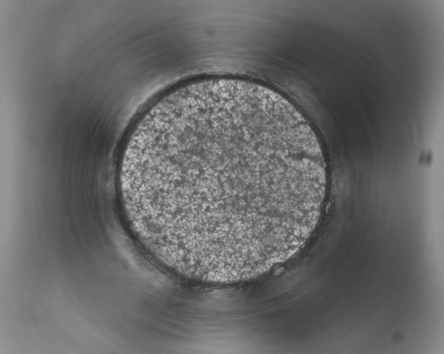 X0000112060584200909151027