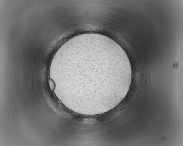 X0000112060591200909151027