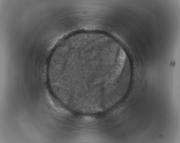 X0000112060592200909151027