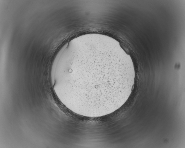 X0000112060593200909151027