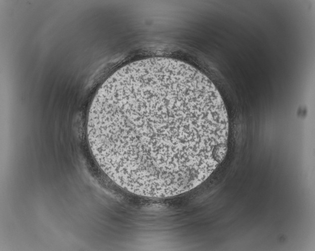 X0000112060594200909151027