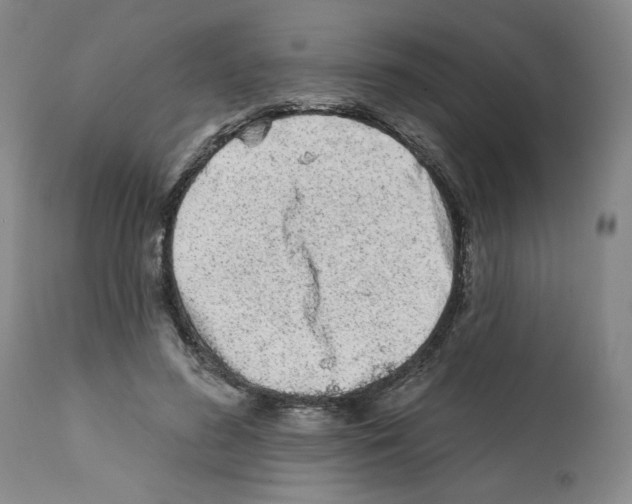 X0000112060596200909151027