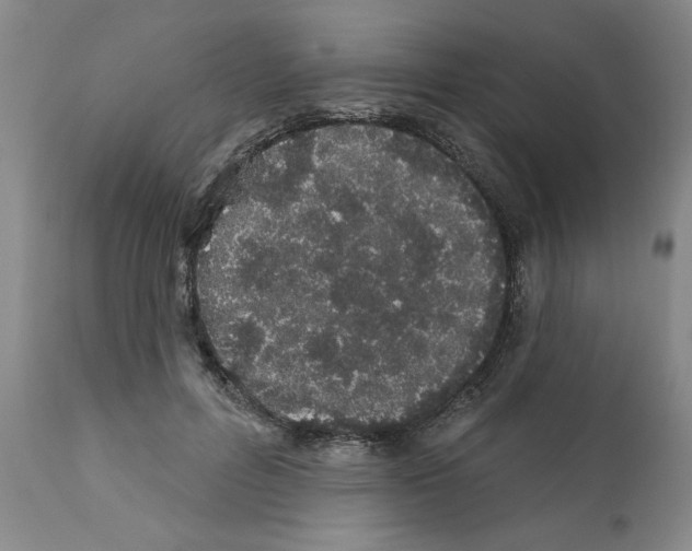 X0000112060600200909151027