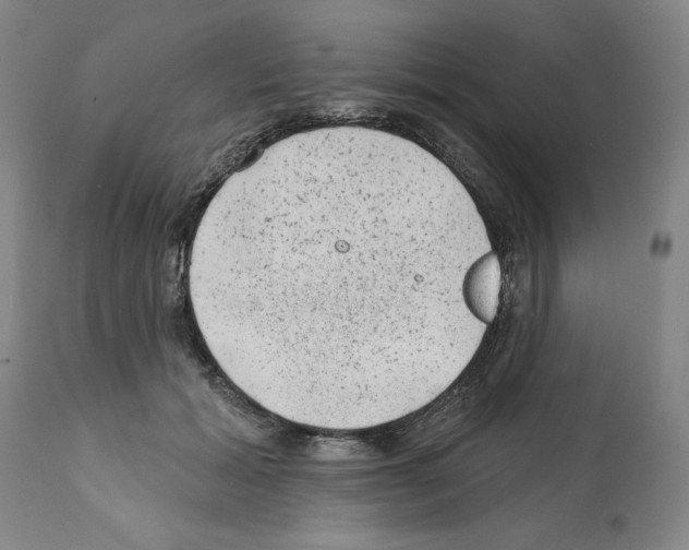 X0000112060605200909151027