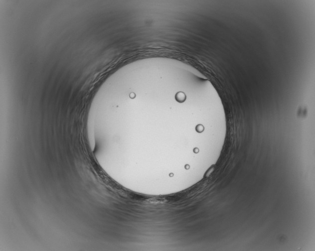 X0000112060606200909151027
