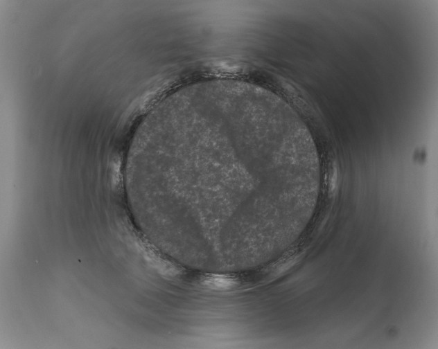 X0000112060610200909151027