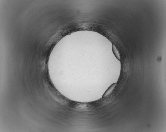 X0000112060611200909151027