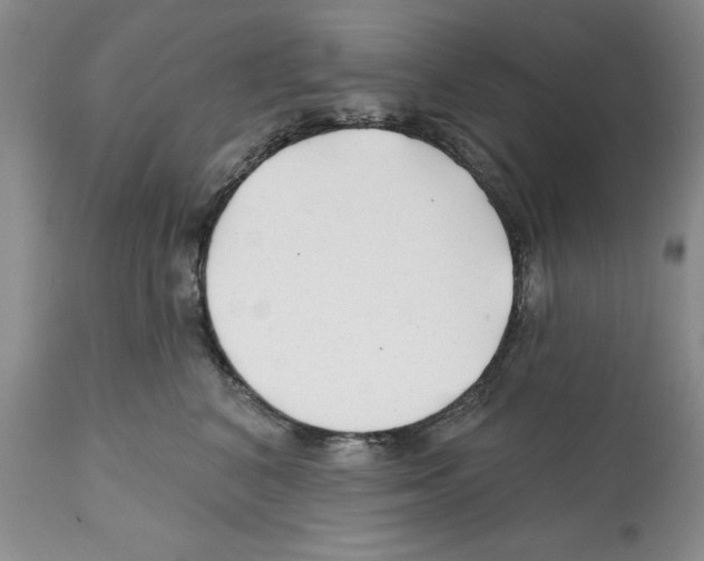 X0000112060616200909151027
