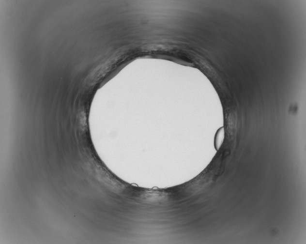 X0000112060617200909151027