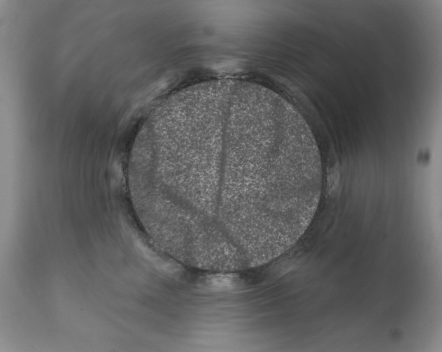 X0000112060618200909151027