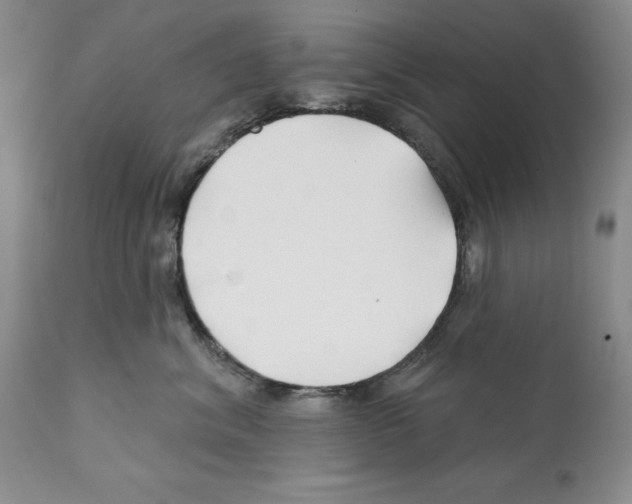 X0000112060620200909151027