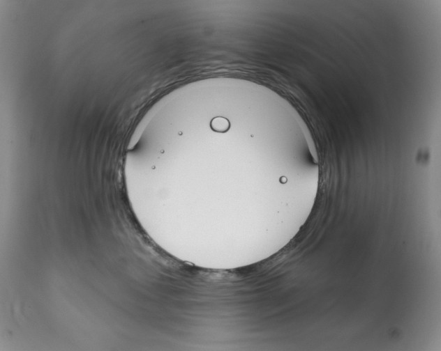 X0000112060621200909151027