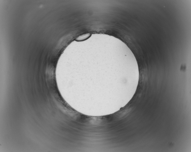 X0000112060623200909151027
