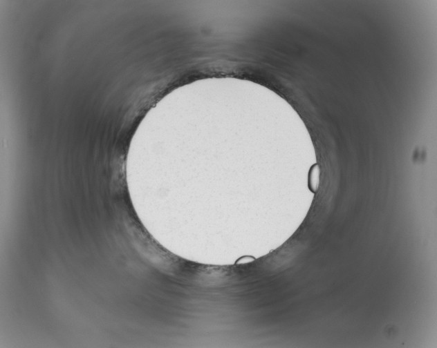 X0000112060624200909151027