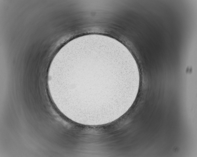 X0000112060625200909151026