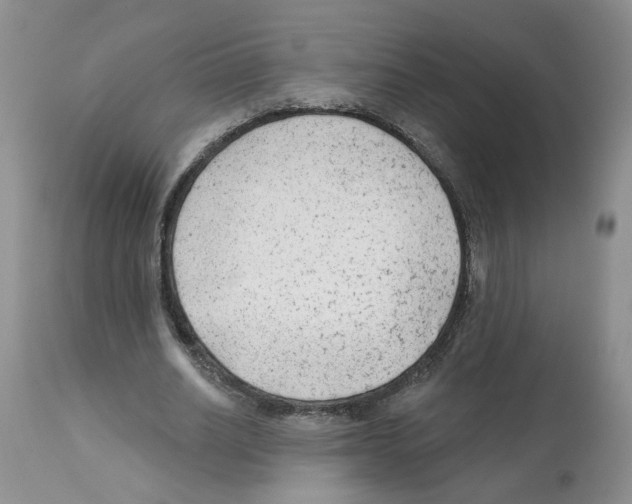 X0000112060630200909151026
