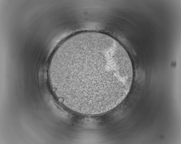X0000112060632200909151026