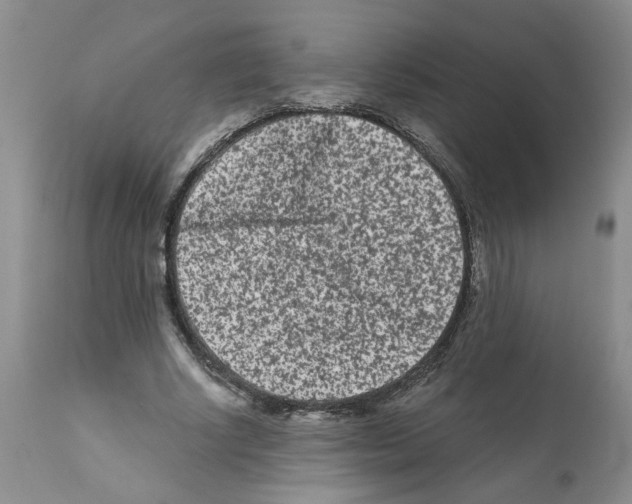 X0000112060634200909151026