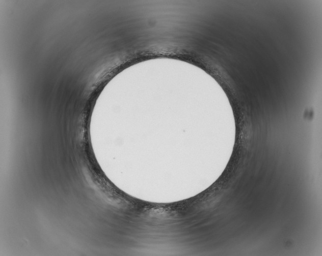 X0000112060635200909151026
