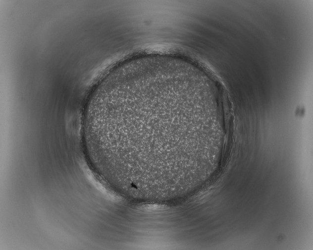 X0000112060637200909151026
