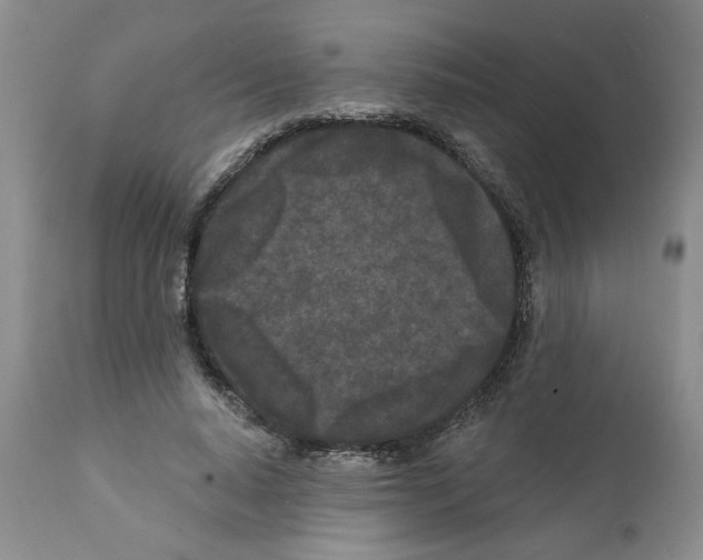 X0000112060640200909151026