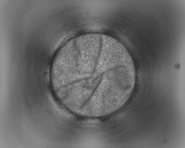 X0000112060642200909151026