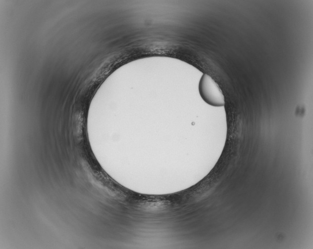 X0000112060646200909151026