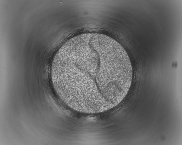 X0000112060647200909151026