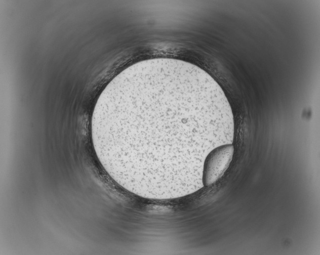 X0000112060649200909151026