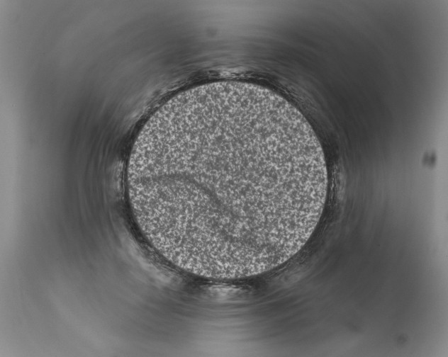 X0000112060650200909151026