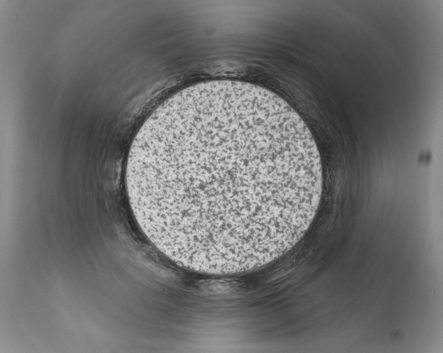 X0000112060652200909151026