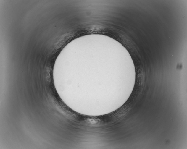 X0000112060654200909151026