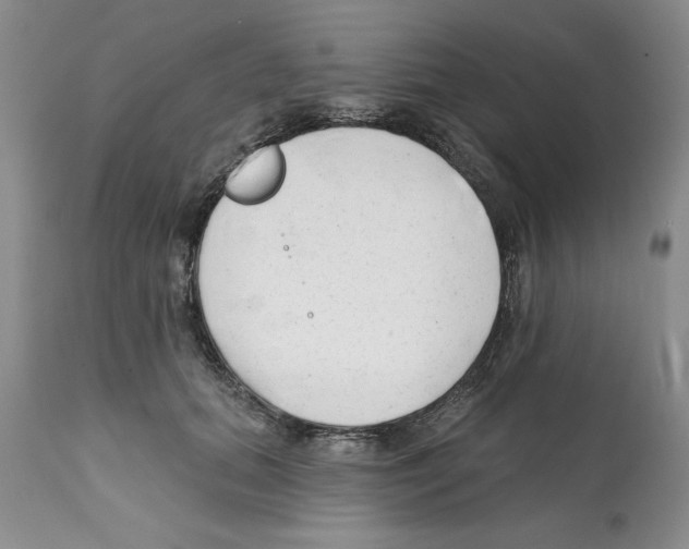X0000112060655200909151026