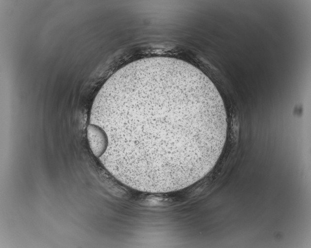 X0000112060657200909151027