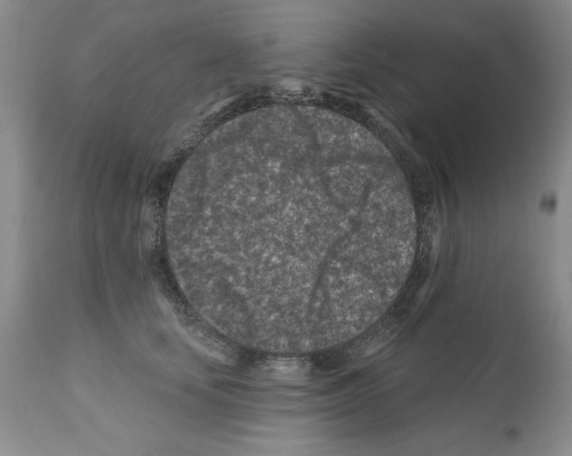 X0000112060659200909151027